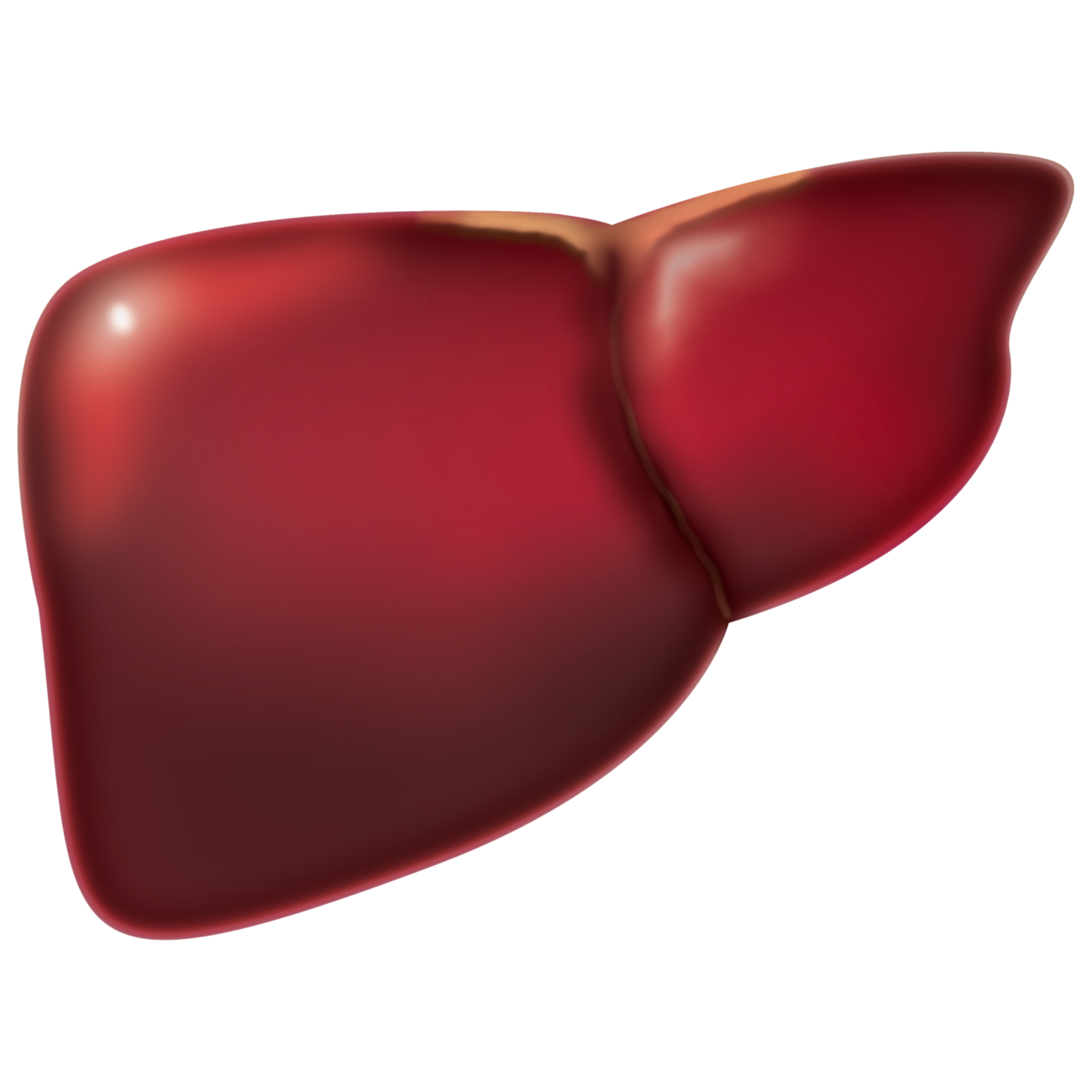 drug-study-cefuroxime-drug-classification-indication-side-effects