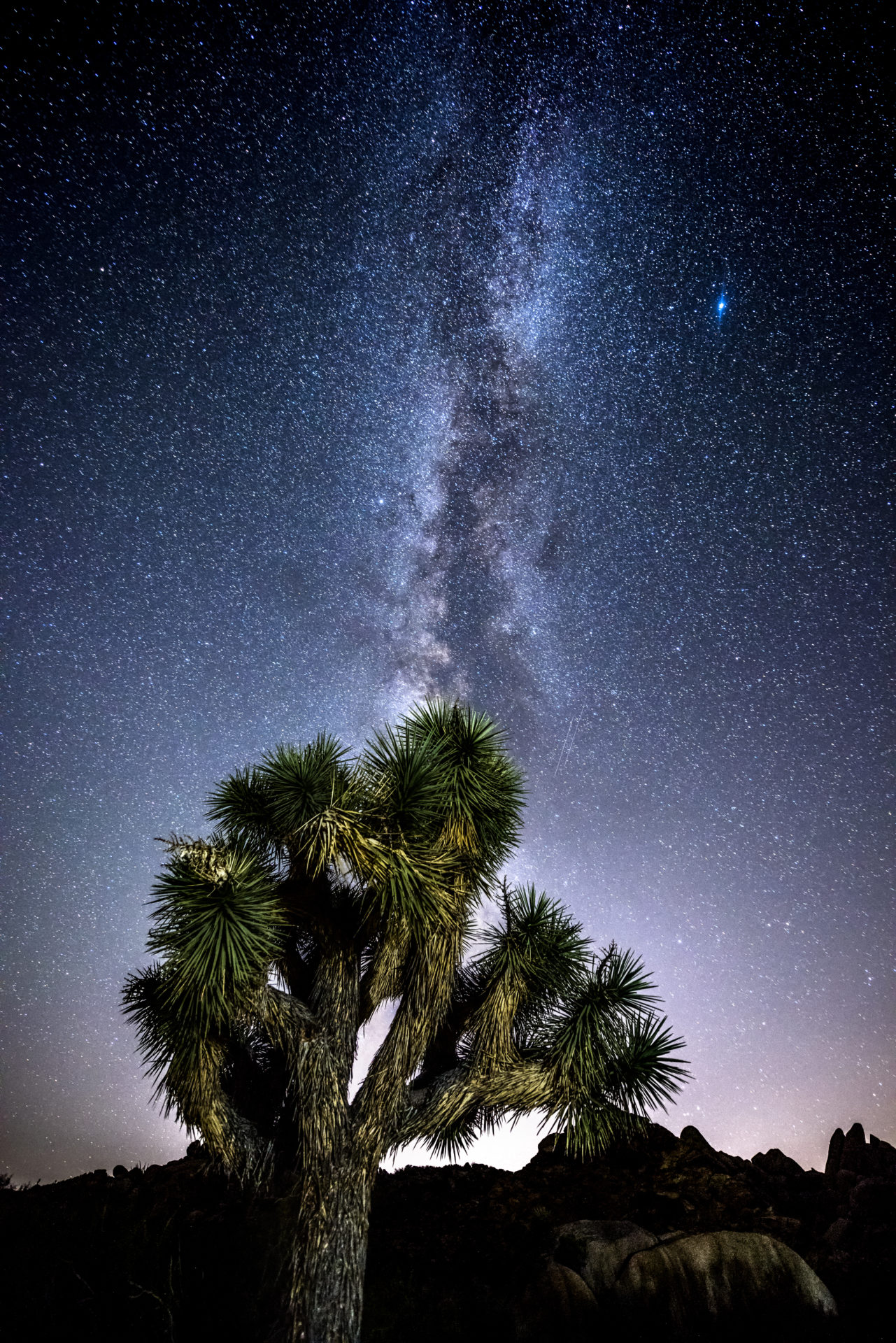 Milky Way in Joshua Tree Nature of Healing